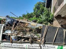 Best Scrap Metal Removal  in Cairo, IL